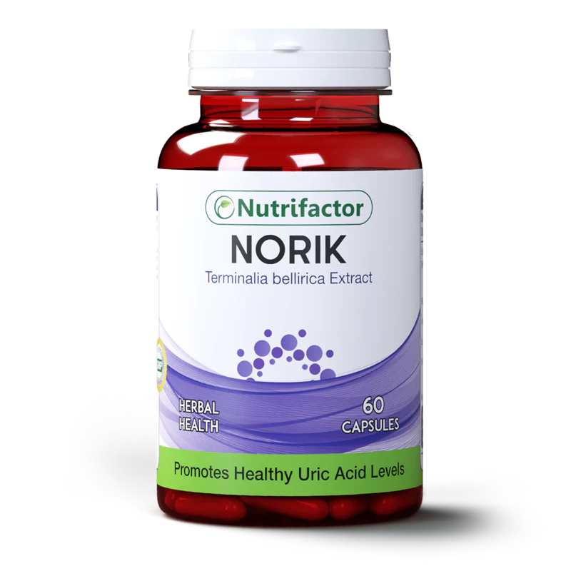 Norik herbal digestive supplement Pakistan